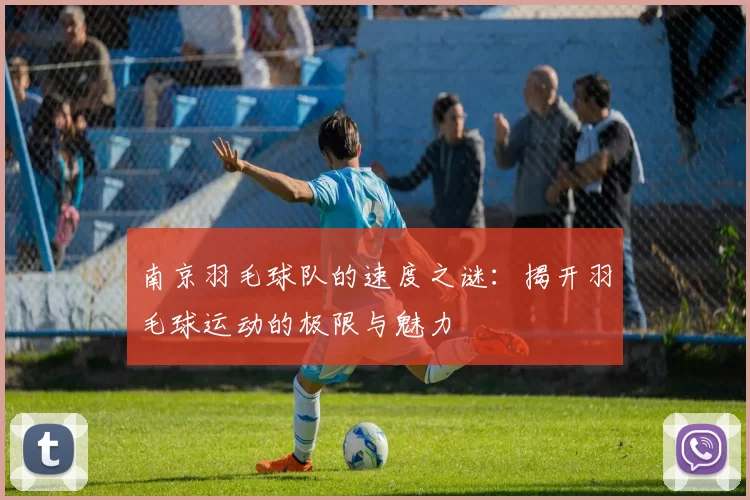 南京羽毛球队的速度之谜：揭开羽毛球运动的极限与魅力