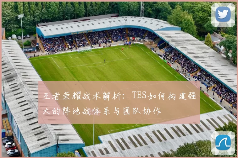 王者荣耀战术解析：TES如何构建强大的阵地战体系与团队协作