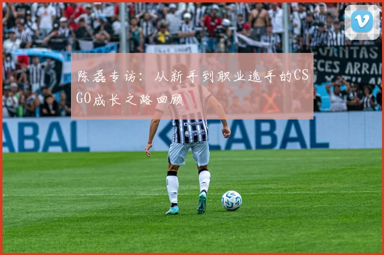 陈磊专访：从新手到职业选手的CSGO成长之路回顾