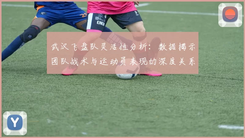 武汉飞盘队灵活性分析：数据揭示团队战术与运动员表现的深度关系