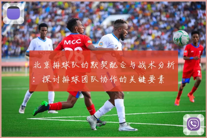 北京排球队的默契配合与战术分析：探讨排球团队协作的关键要素