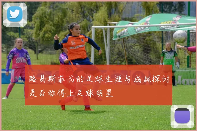 路易斯菲戈的足球生涯与成就探讨是否称得上足球明星
