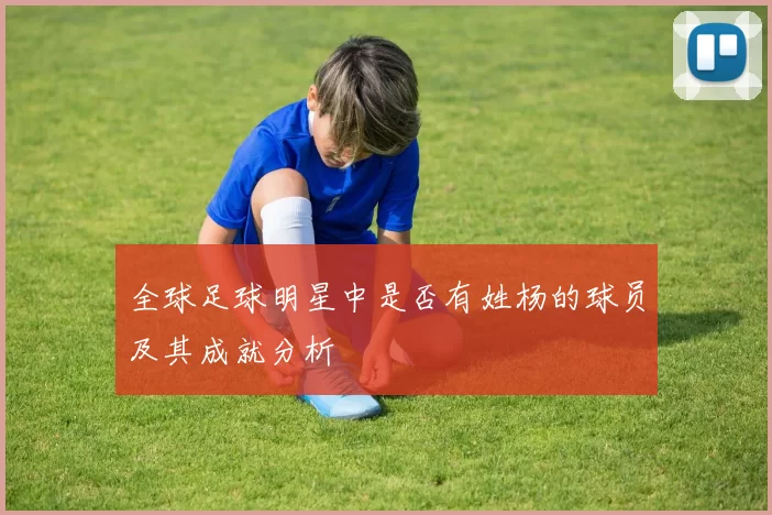 全球足球明星中是否有姓杨的球员及其成就分析