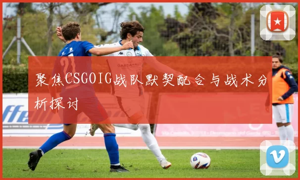 聚焦CSGOIG战队默契配合与战术分析探讨
