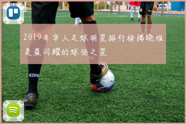 2019年华人足球明星排行榜揭晓谁是最闪耀的球场之星