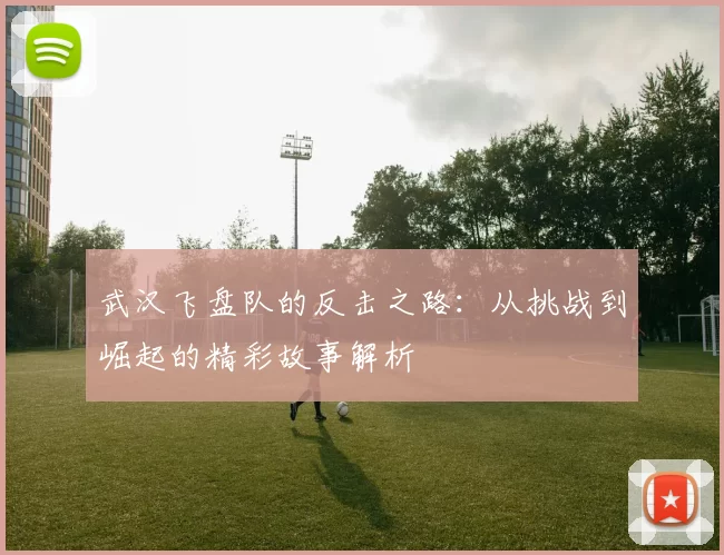 武汉飞盘队的反击之路：从挑战到崛起的精彩故事解析