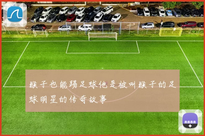 猴子也能踢足球他是被叫猴子的足球明星的传奇故事