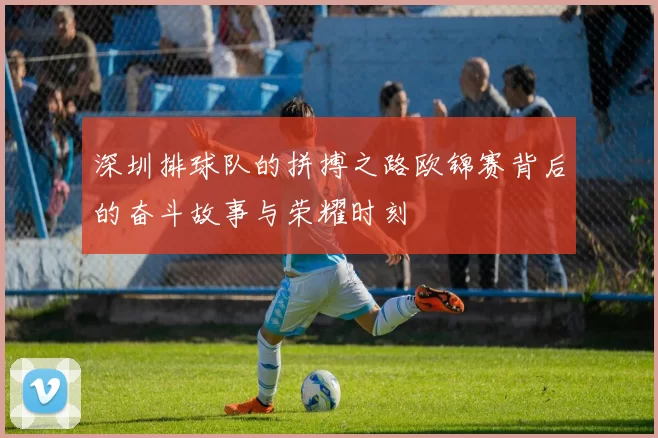 深圳排球队的拼搏之路欧锦赛背后的奋斗故事与荣耀时刻
